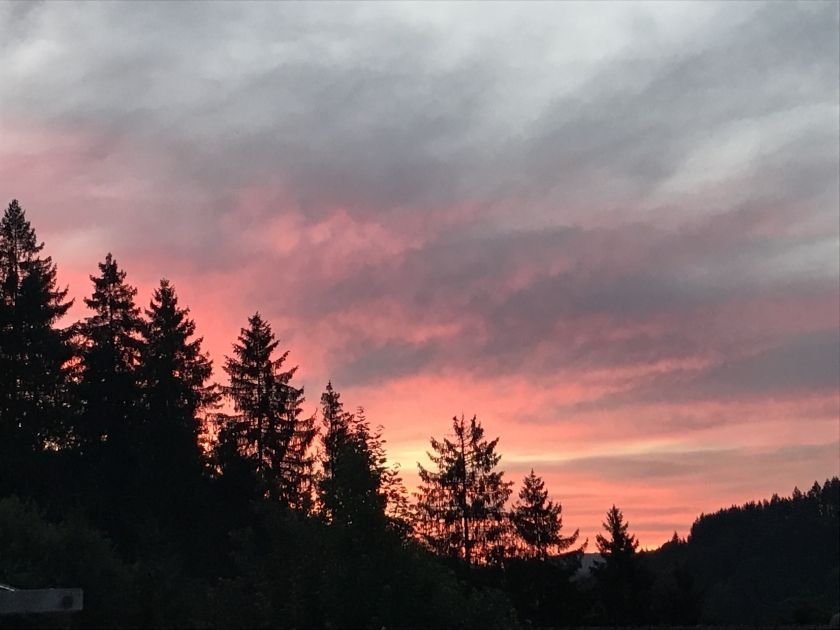 Ferienhof Brutoni Ferienwohnung Schwarzwaldtraum 