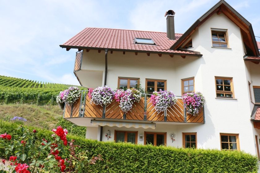 Ferien inmitten sonniger Weinhänge