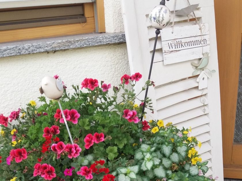 Ferien inmitten sonniger Weinhänge