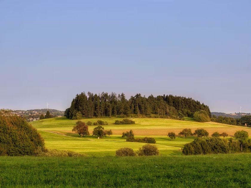 Ferienhaus Trollblume