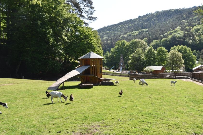 Wild- und Wanderpark bei Silz