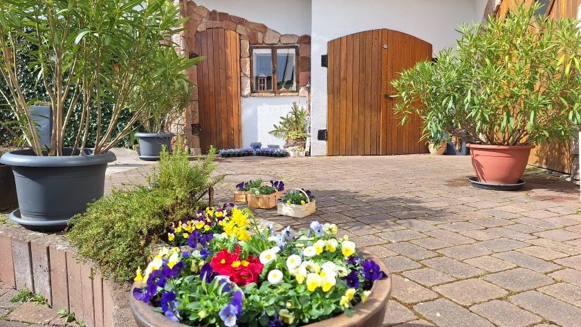 Frühlingsboten