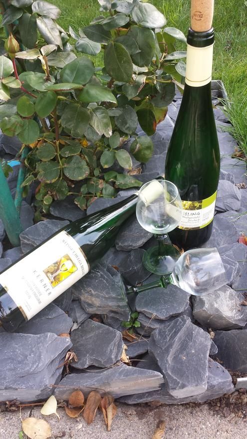 Ferienweingut Bollig