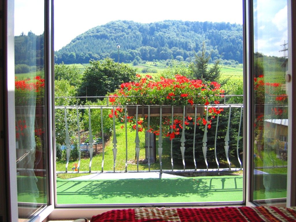 <marquee><font size=2>Aussicht aus dem Gästezimmer zur -Südseite