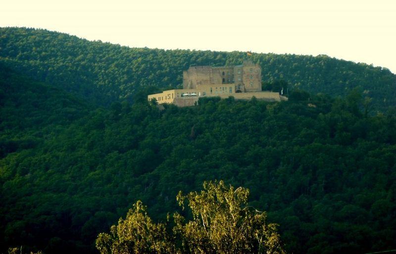 Blick auf das Hambacher Schloss