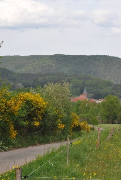 Ferienwohnung Cäcilia
