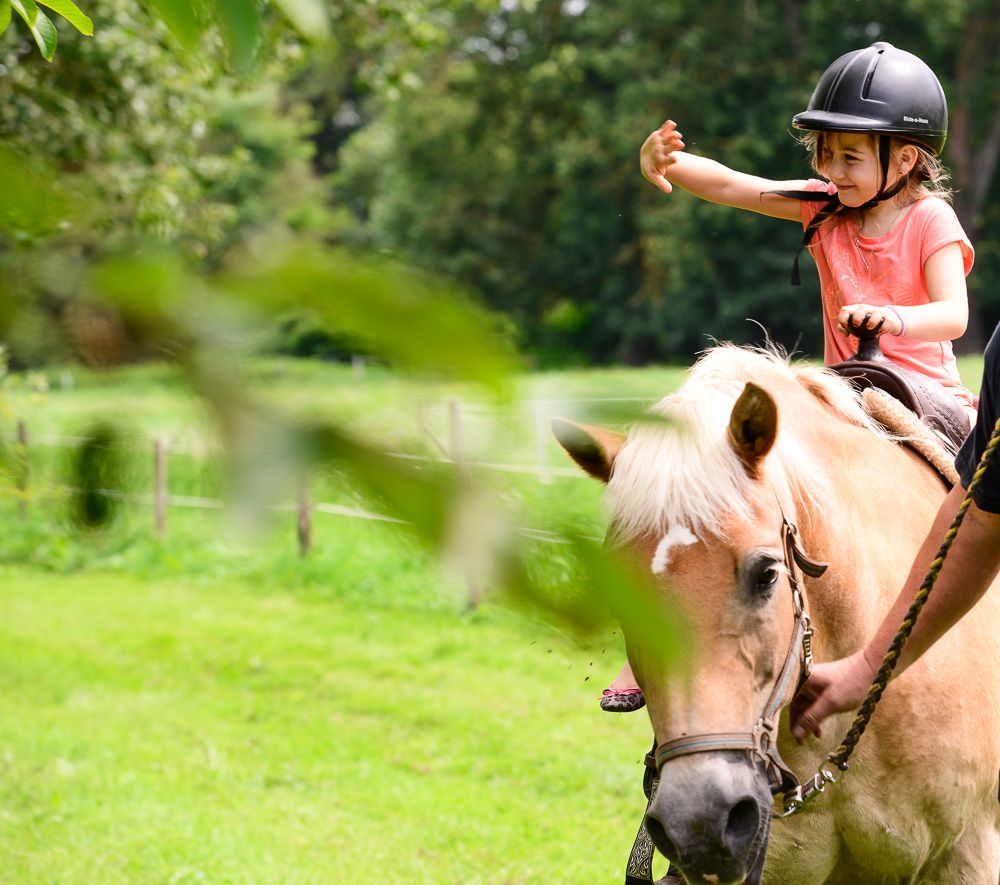 Camping Nahemühle EST.1983 - Traditon meets Veränderung