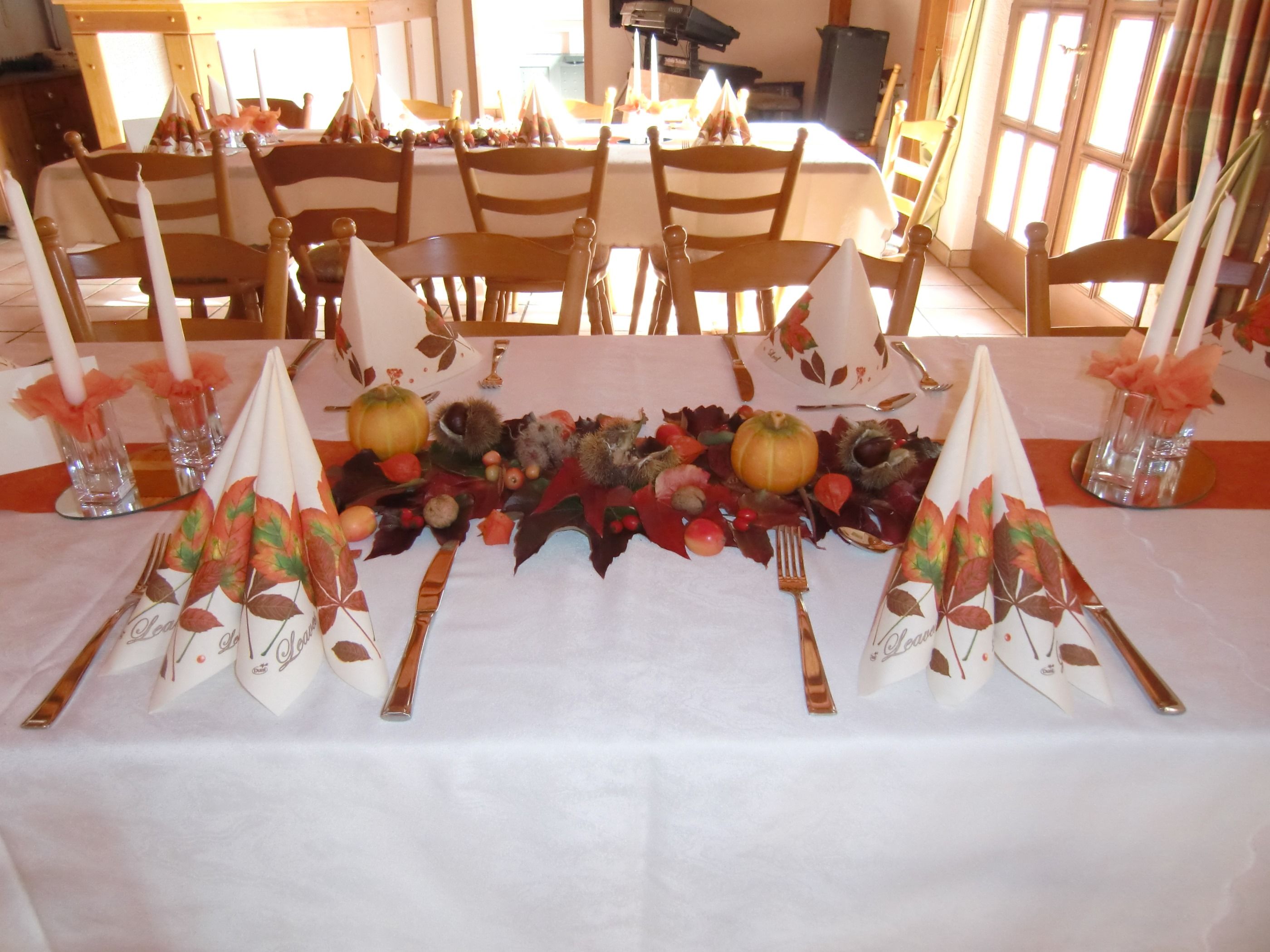 Gutsschänke Felsenstübchen & Winzerhof Härter - Weinproben und Weinbergsführungen, auch für Gruppen