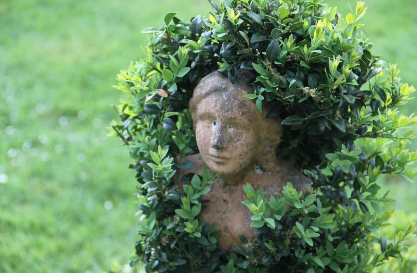 Ferienwohnung Neuafrika 4