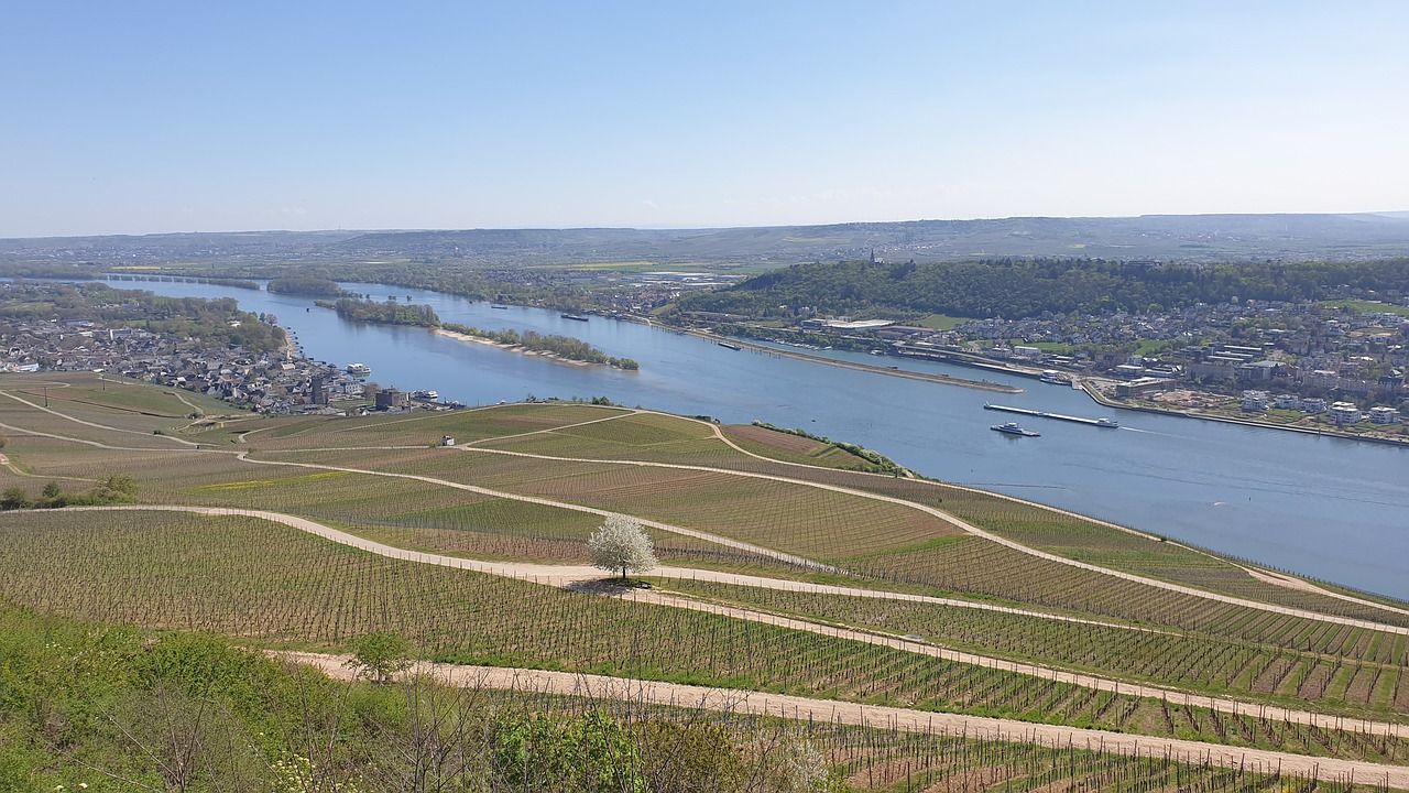 Das Rheintal bei Rüdesheim