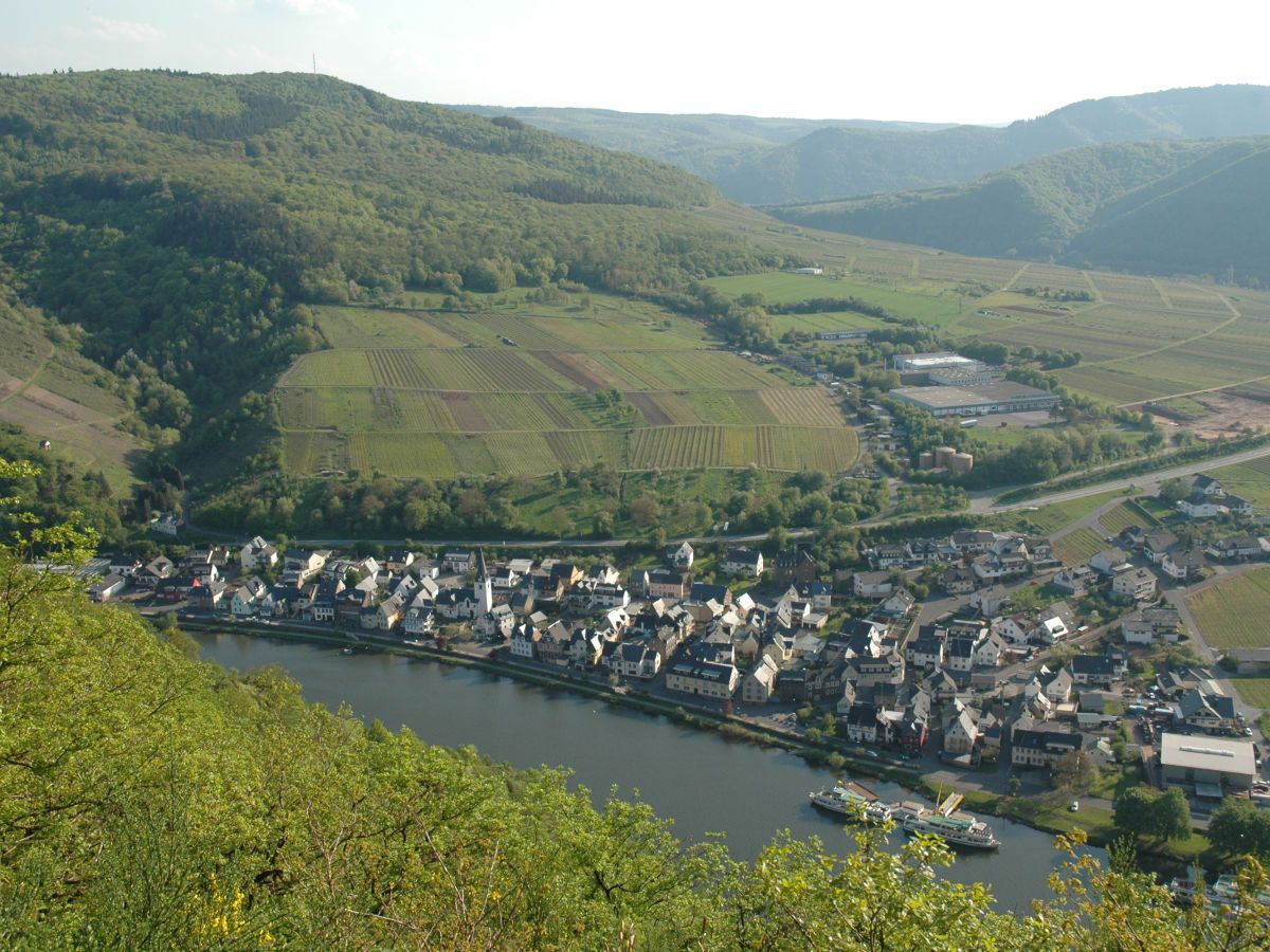 Wein- und Ferienhaus Bauer