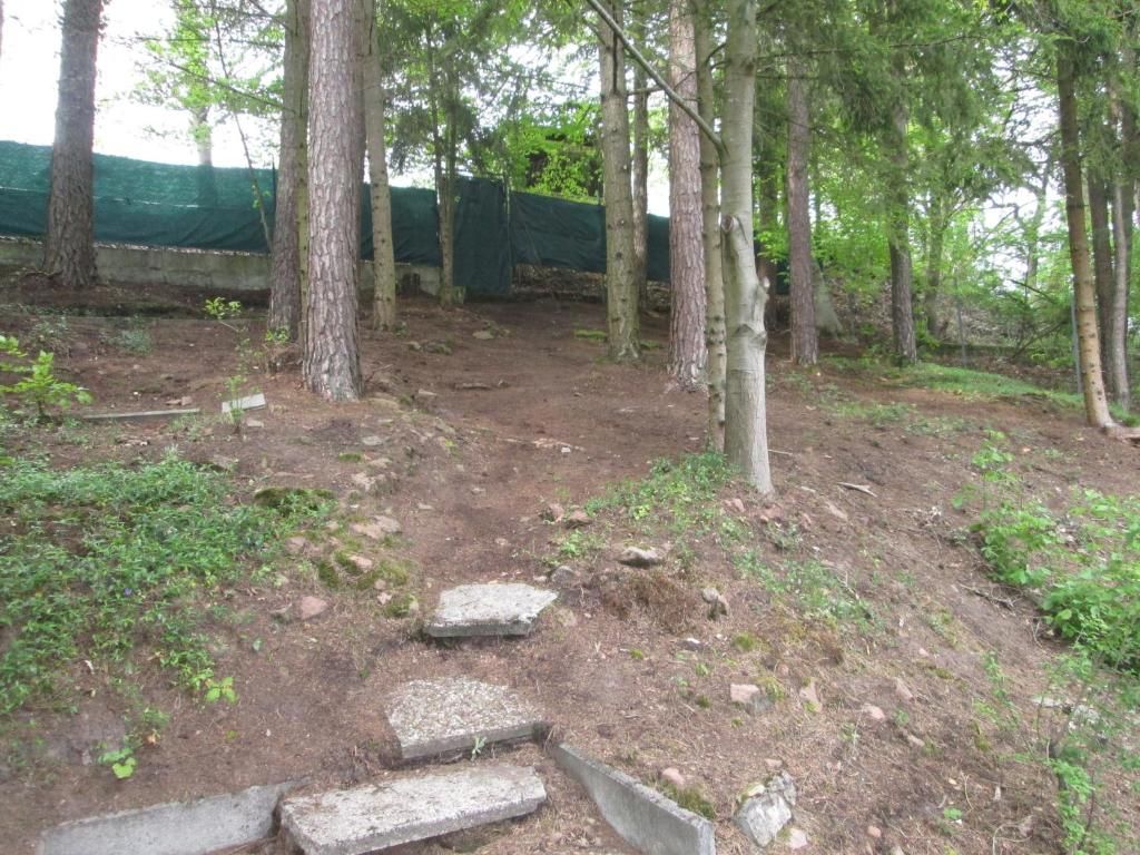 Ferienhaus Eulennest