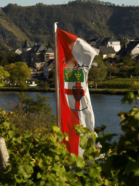 Weingut & Gästehaus Lehnert-Später