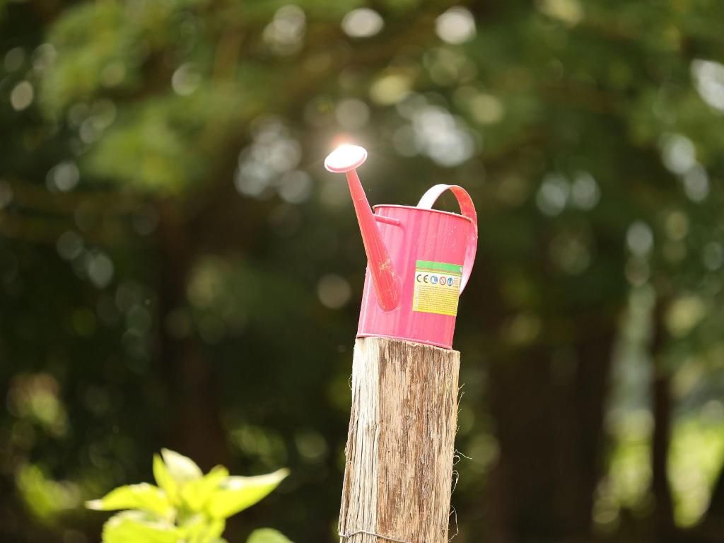 Ferienwohnung Landleben