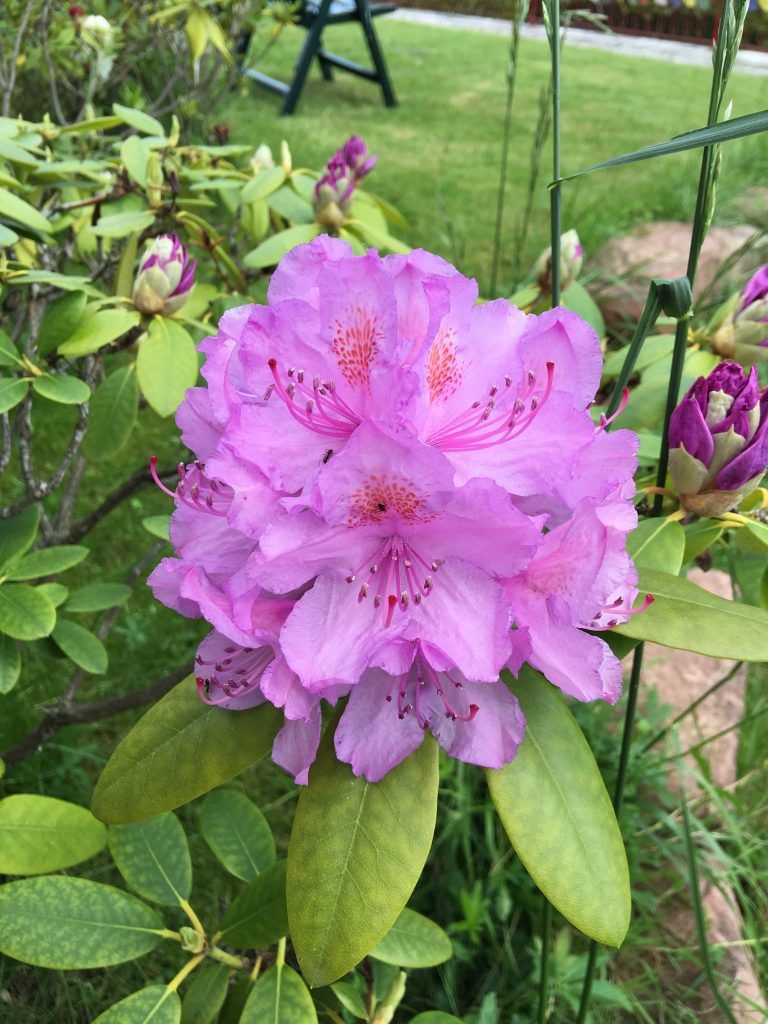 Haus Adams - Das Wohlfühl Gästehaus