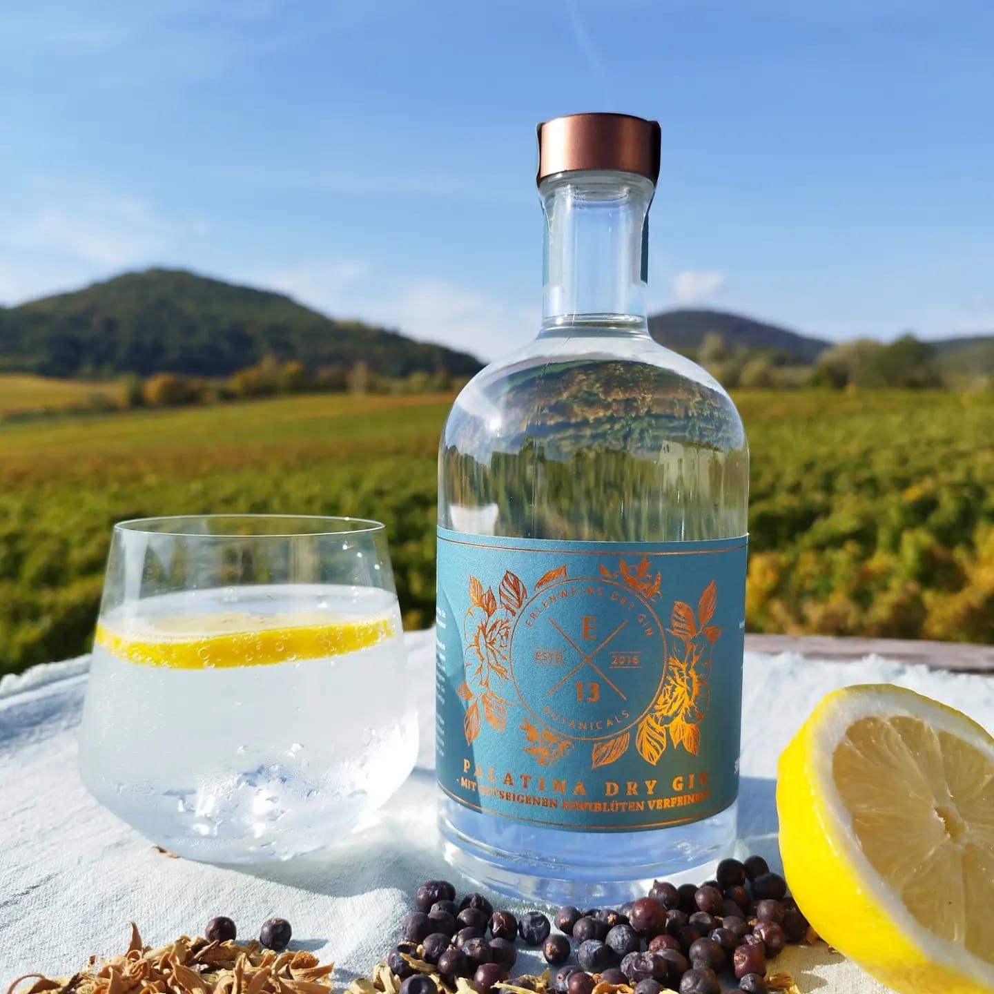 Weingut und Ferienwohnungen Erlenwein