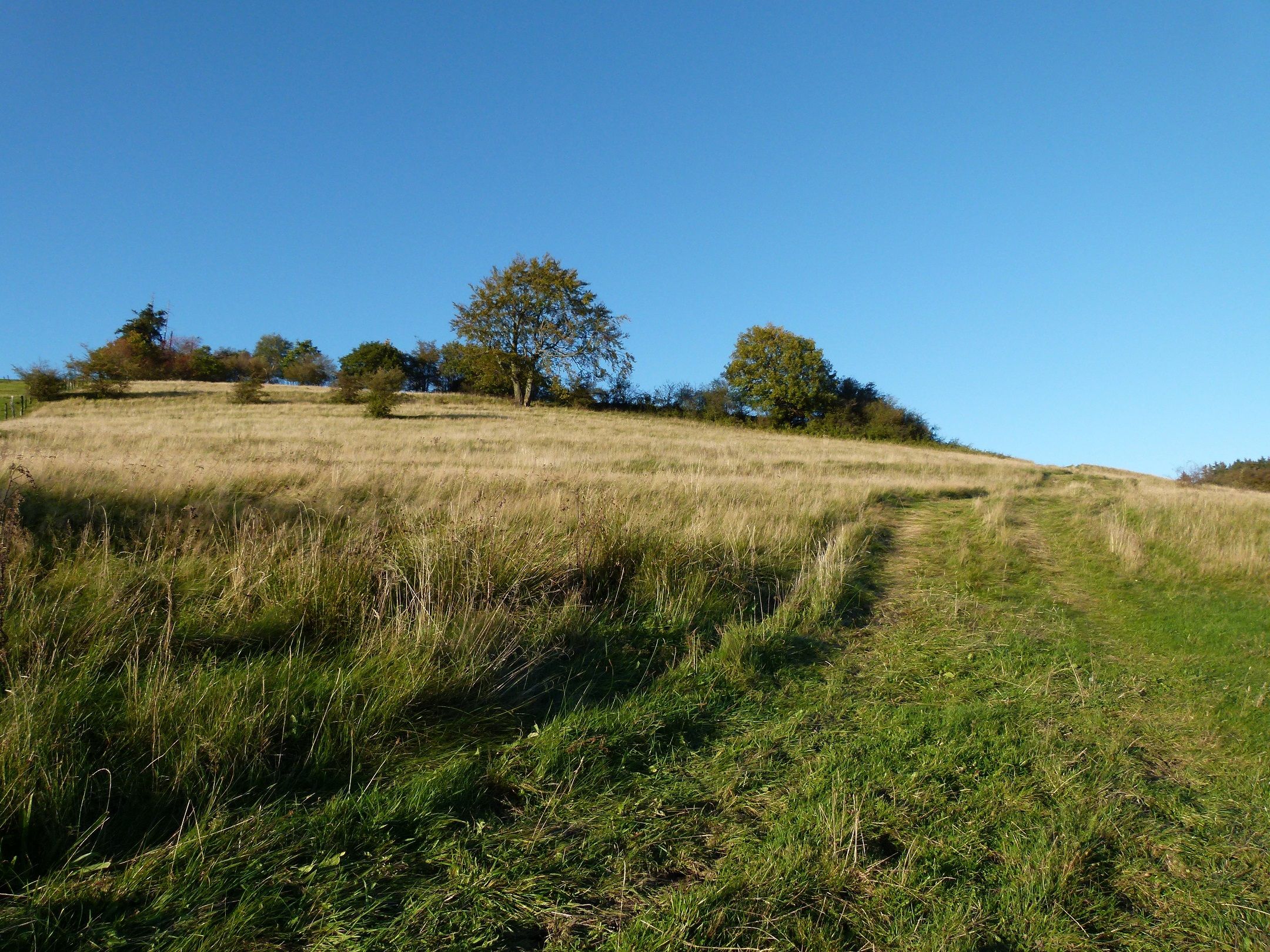 Urlaub in Brilon - Freizeit und Sehenswürdigkeiten