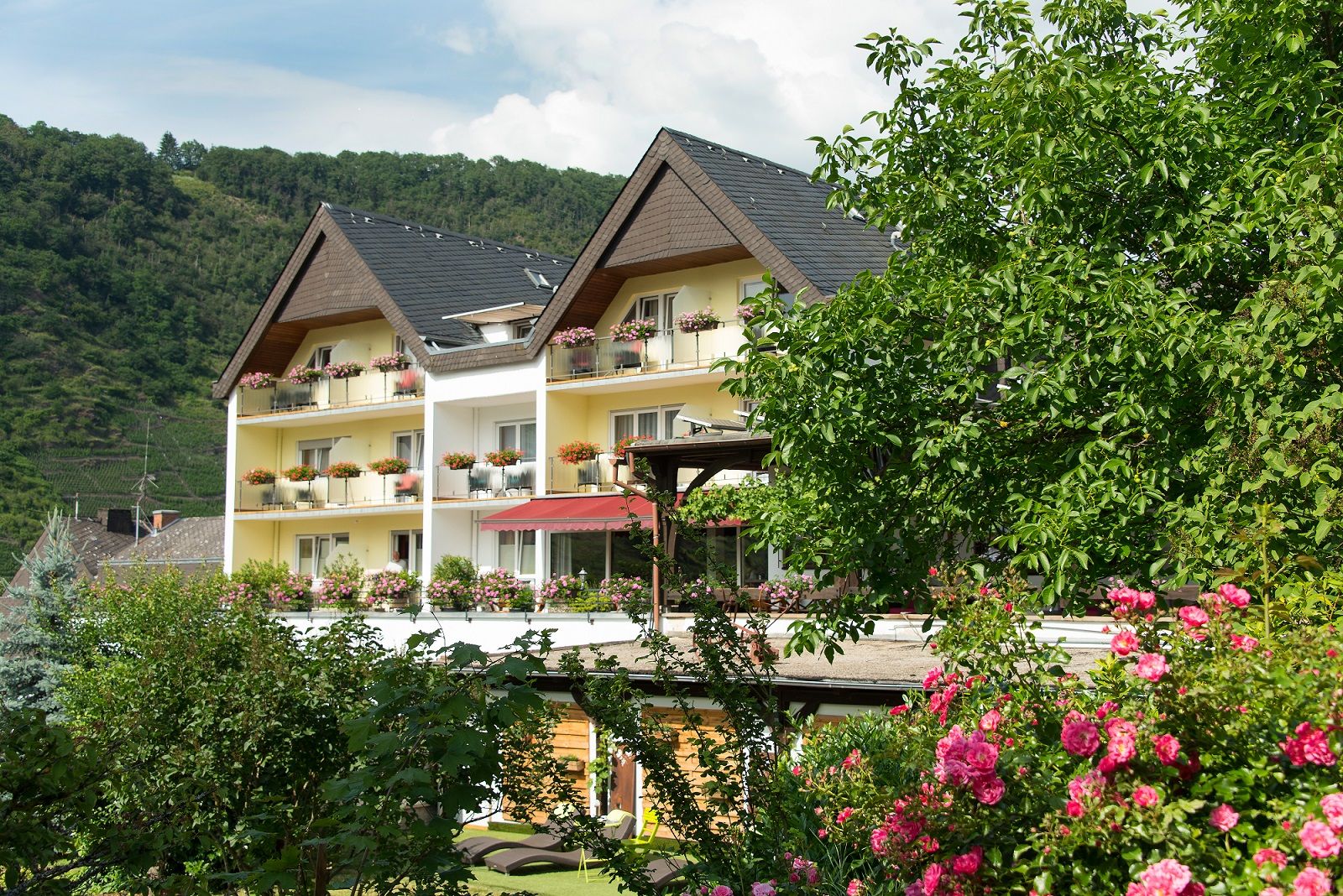 Weinhotel Sonnenschein