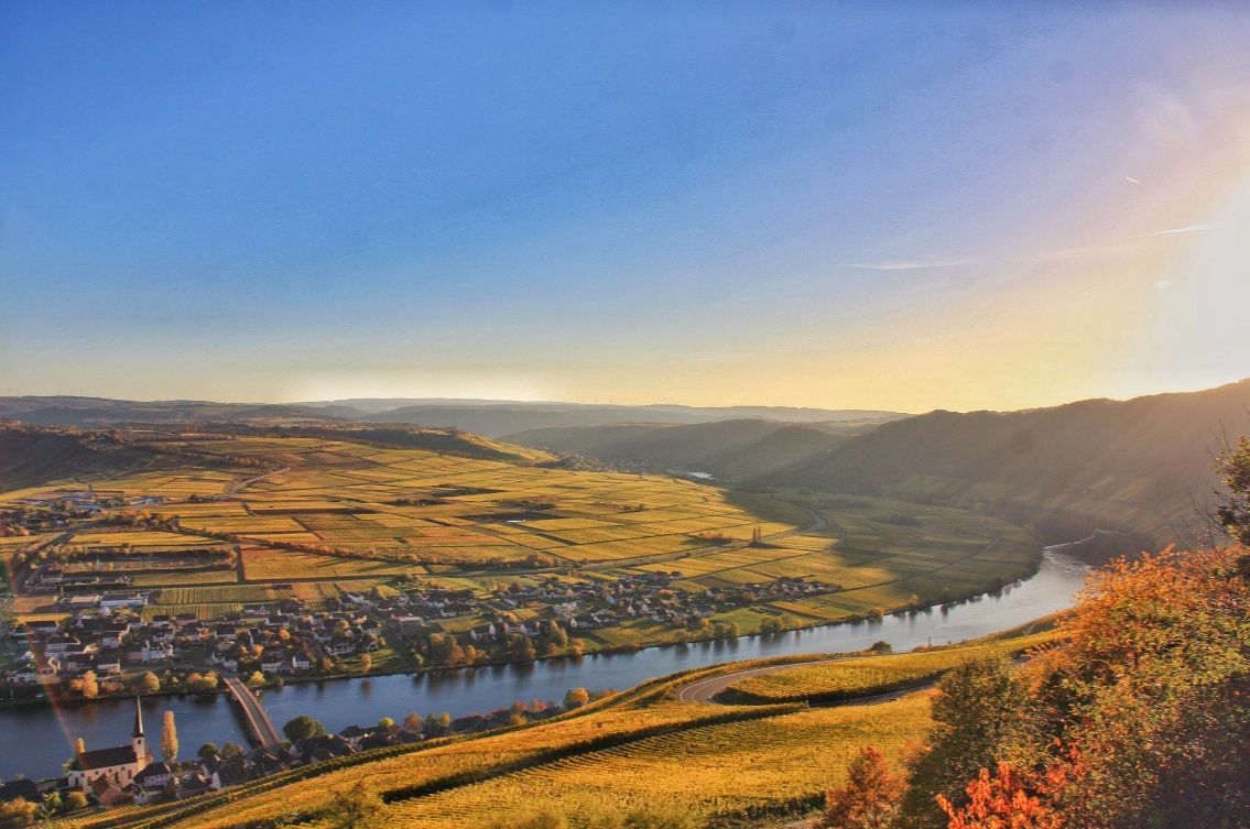 Wein und Ferienhaus Koch