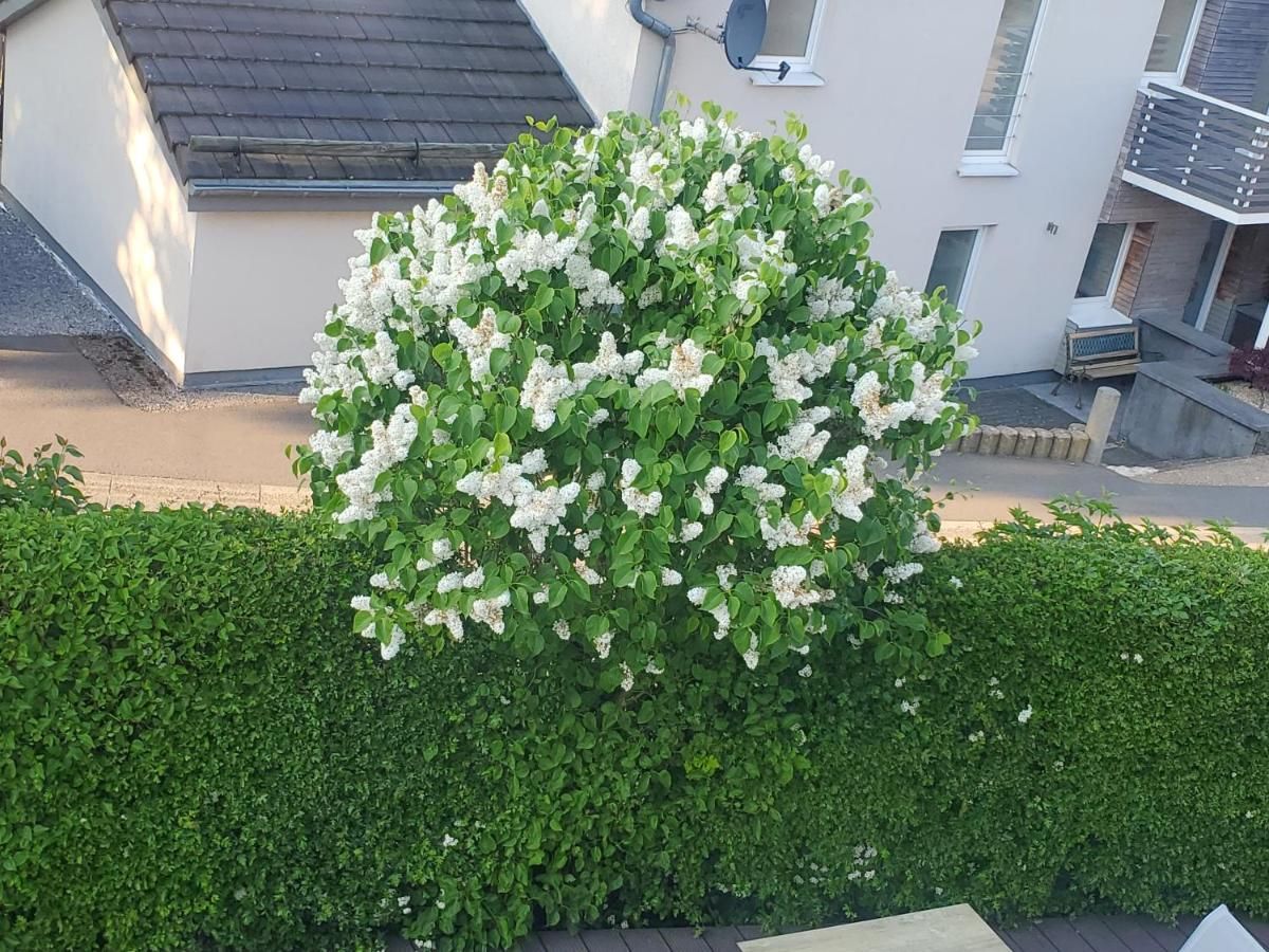 Ferienhaus Lorea  Bütgenbach 