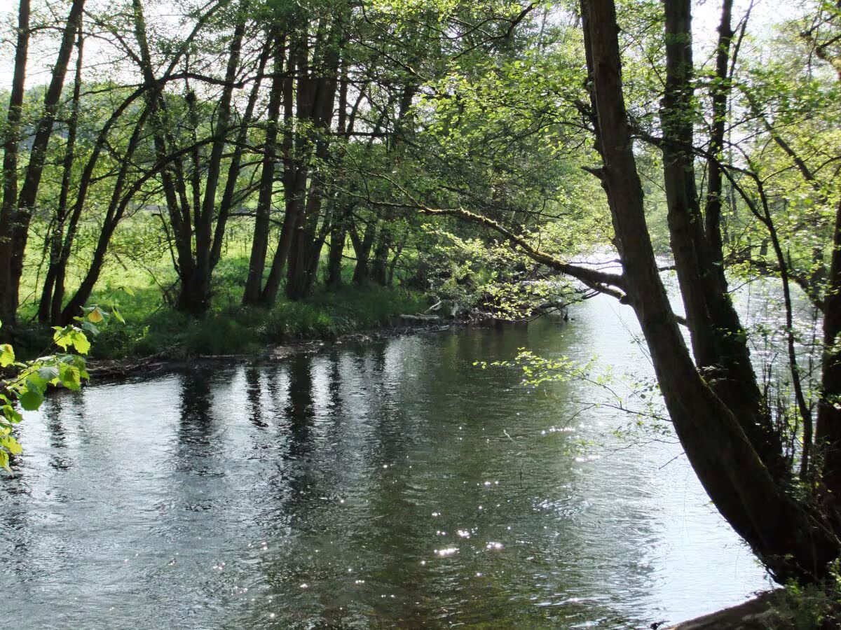 Ferienhaus Eifelstübchen - Urlaub mit dem Hund
