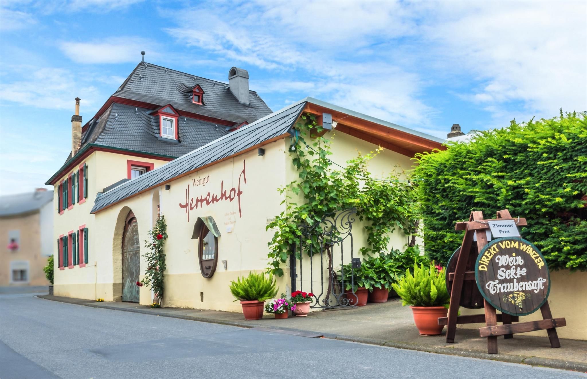 Weingut & Gästezimmer Herrenhof