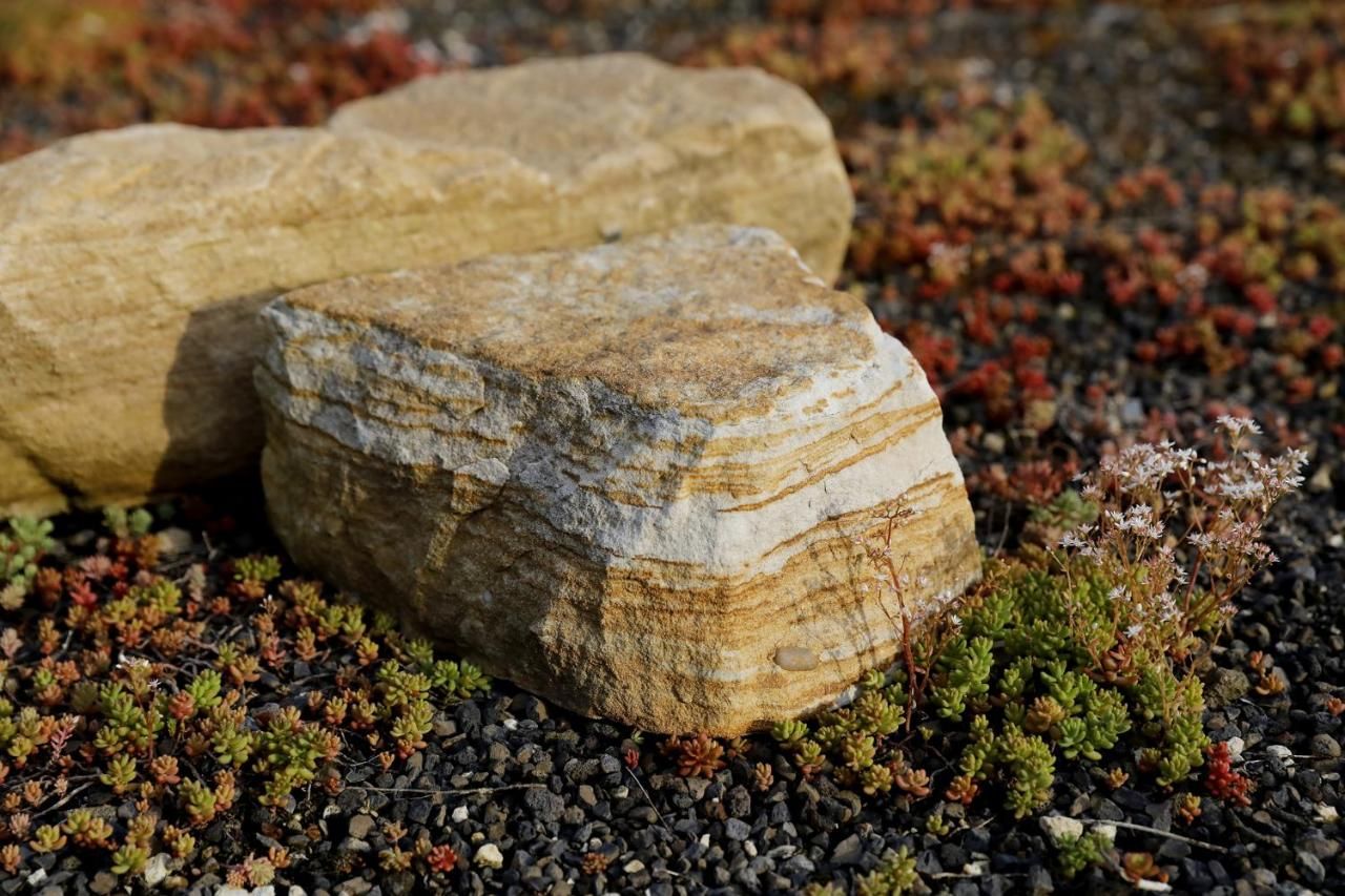 Barrierefreie Ferienwohnungen am Wasserturm Landau - Südpfalz