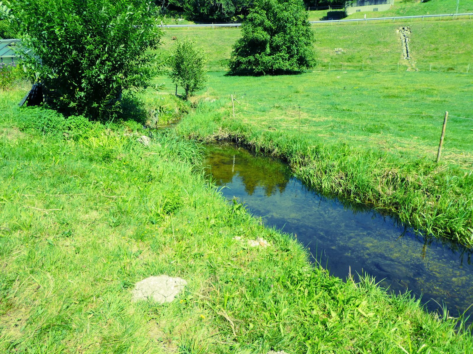 Ferienwohnungen Haus Eckert