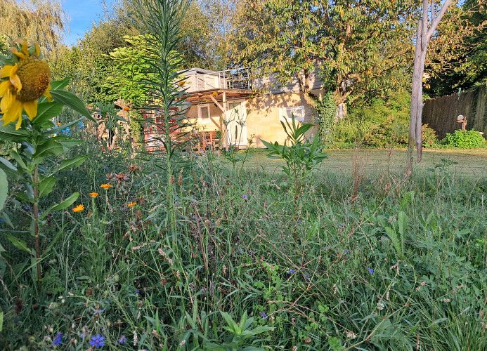 Tiny House Schwarzwald