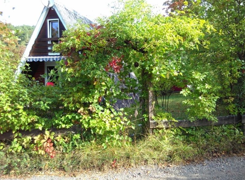 Ferienhaus Rosensteig