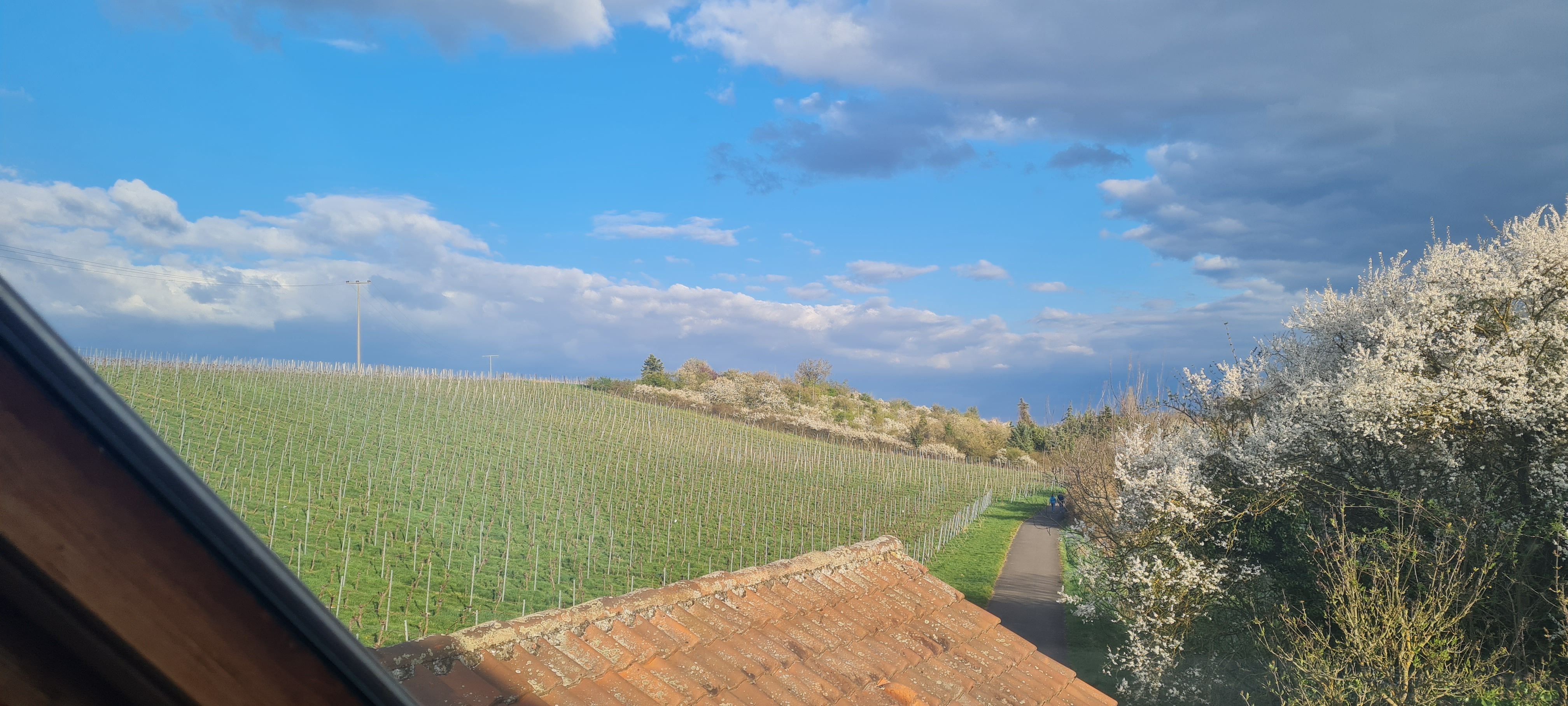 Weingut Ellbrück Gästehaus, Leininger Land - Deutsche Weinstraße