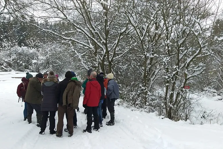 Appartement Igel im Haus Eifelstein