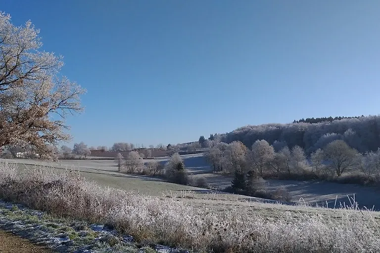 Appartement Eichhörnchen im Haus Eifelstein