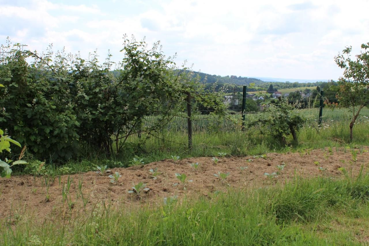 Ferienhaus Landhaus Almyssen