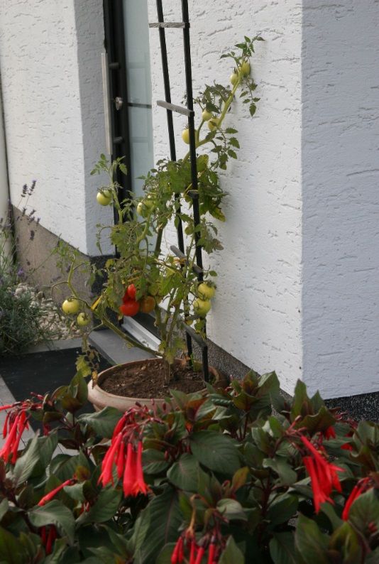 Ferienwohnung Klaus & Thea Tücks - Eifel