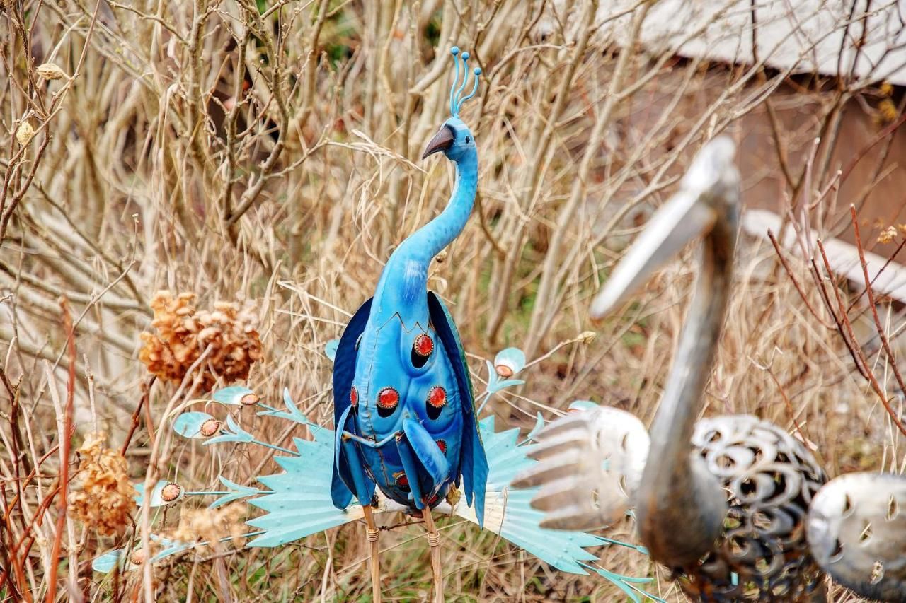 Ferienwohnung Sandra