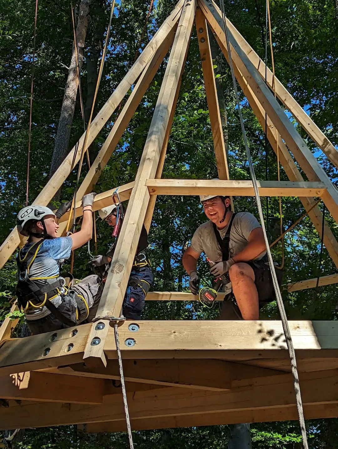 Baumhaus Birkenfeld Schwarzwaldverein