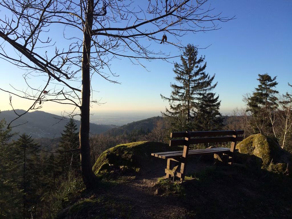 Ferienwohnung Sommerbergparadies