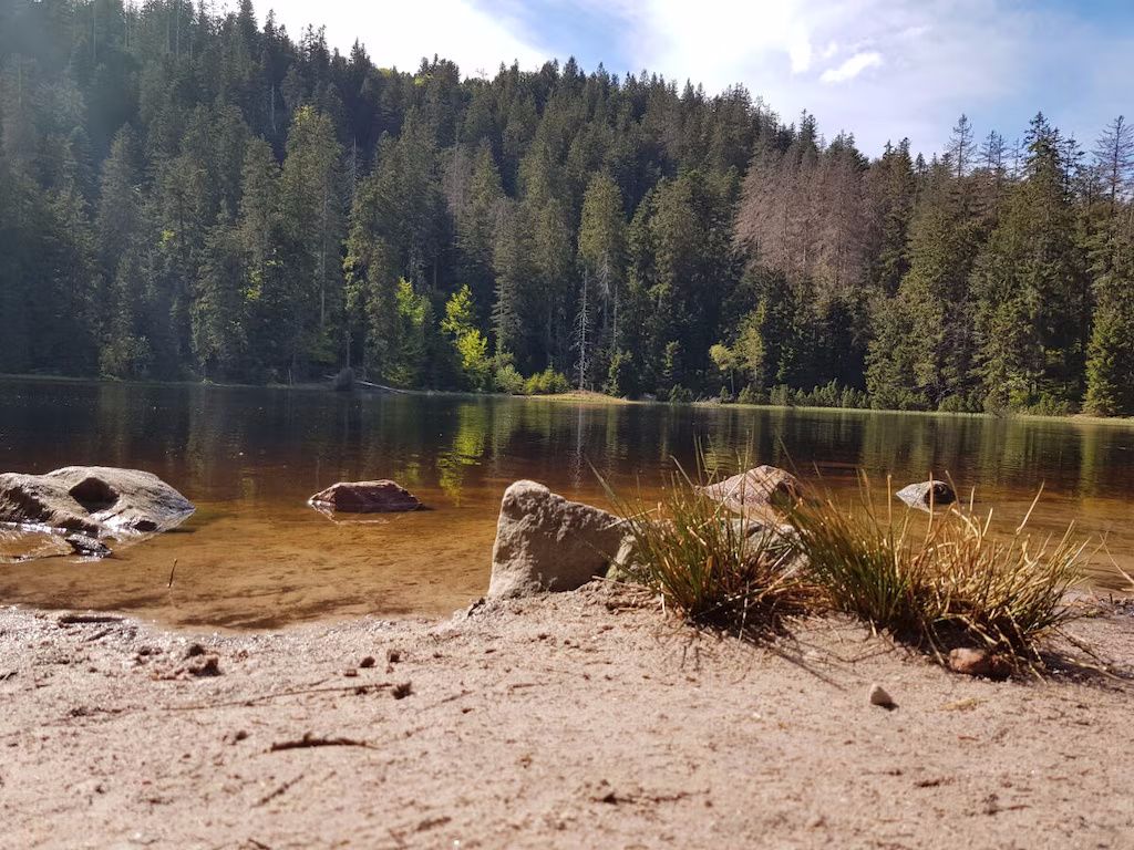 Ferienwohnung Sommerbergparadies