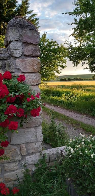 Ferienunterkünfte Am Backhausgarten