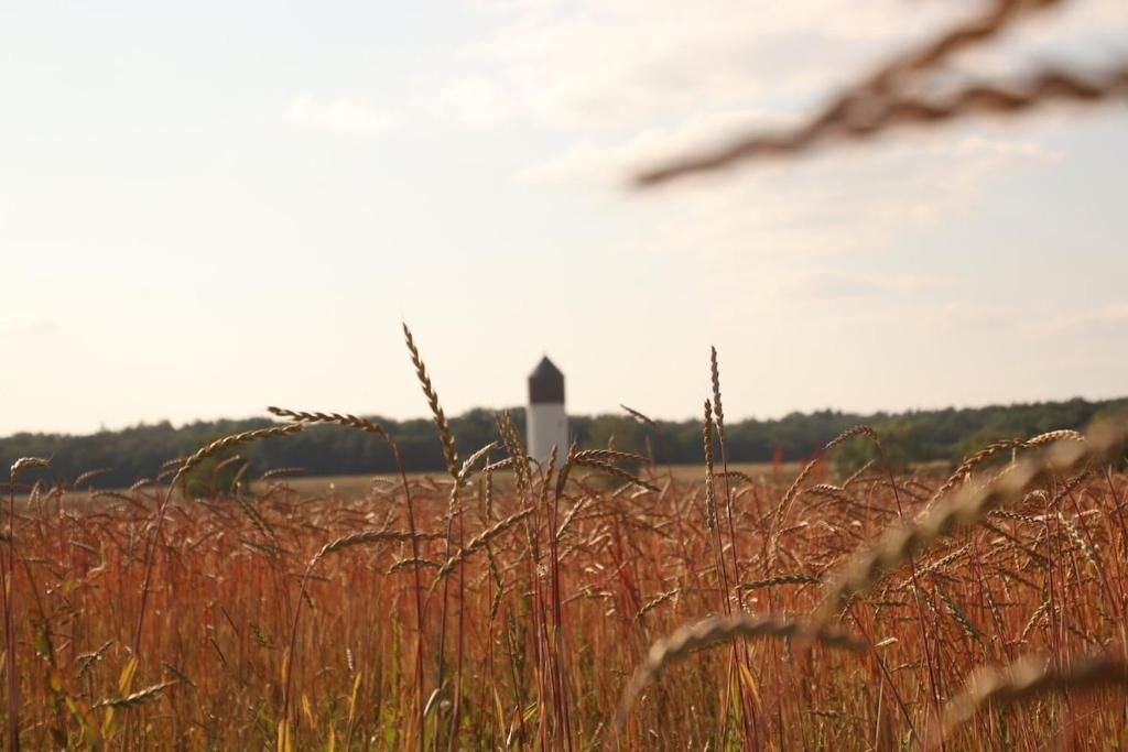 Ferienwohnung Ferienhof Engel