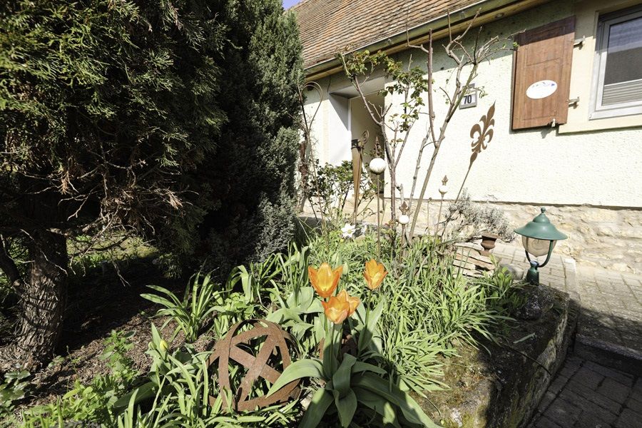 Gästehaus Villa Wernz im Zellertal