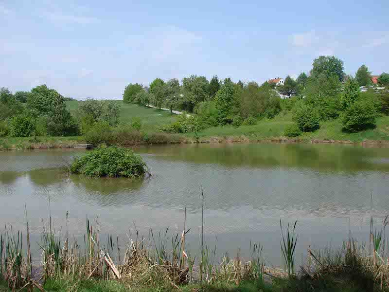 Baumpalast Baumhaushotel Rosenberg