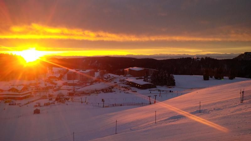 Ferienhaus Apfelbäumchen Hochschwarzwald