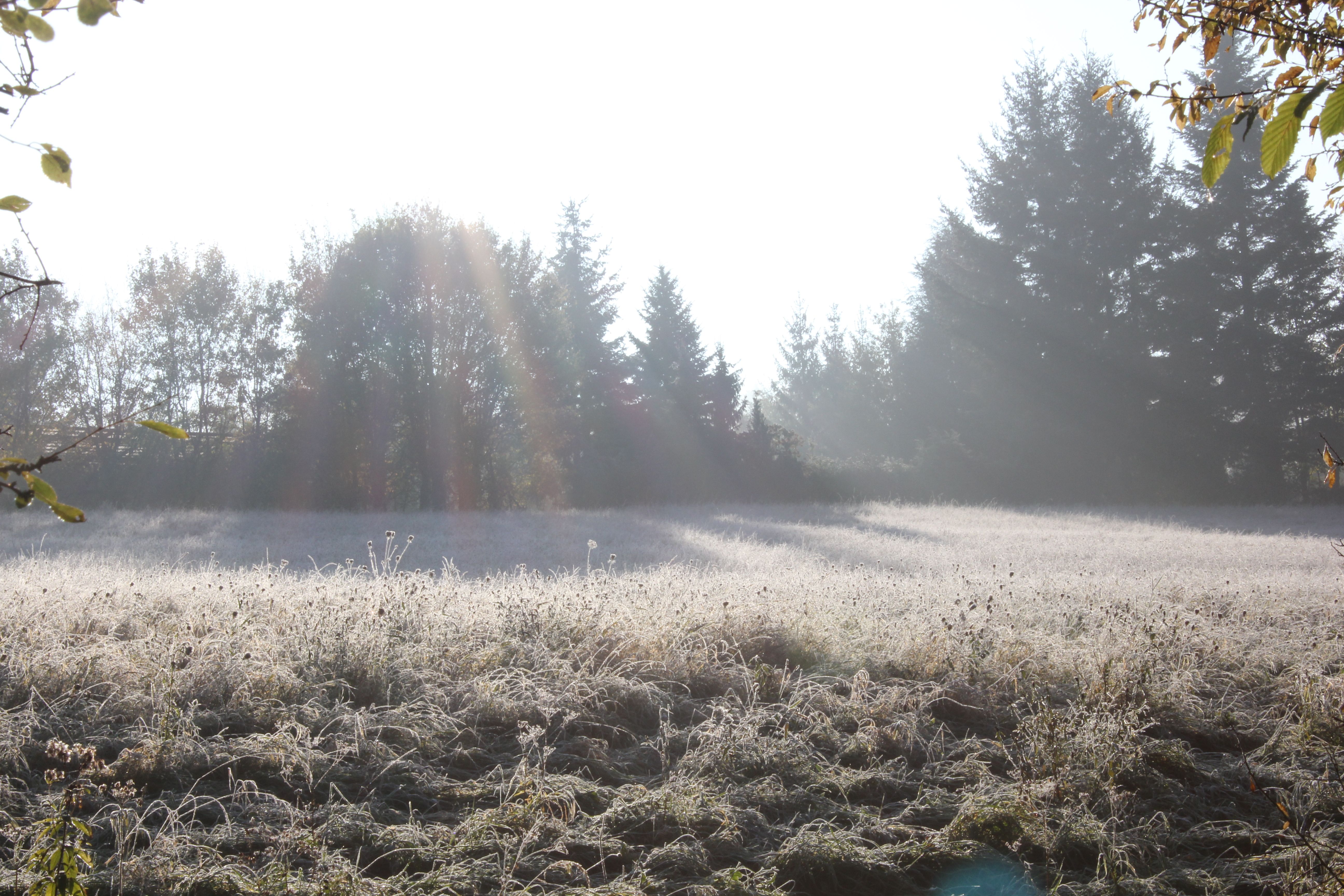 Campingplatz Ochsenbusch Park