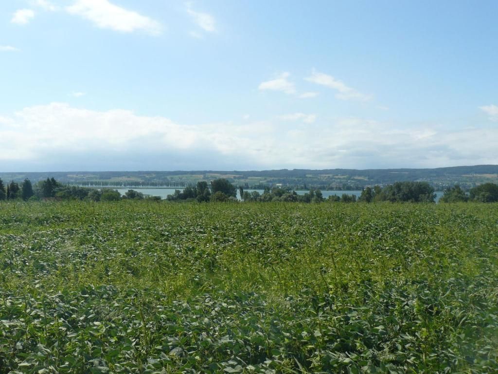 Ferienwohnung Naturhaus