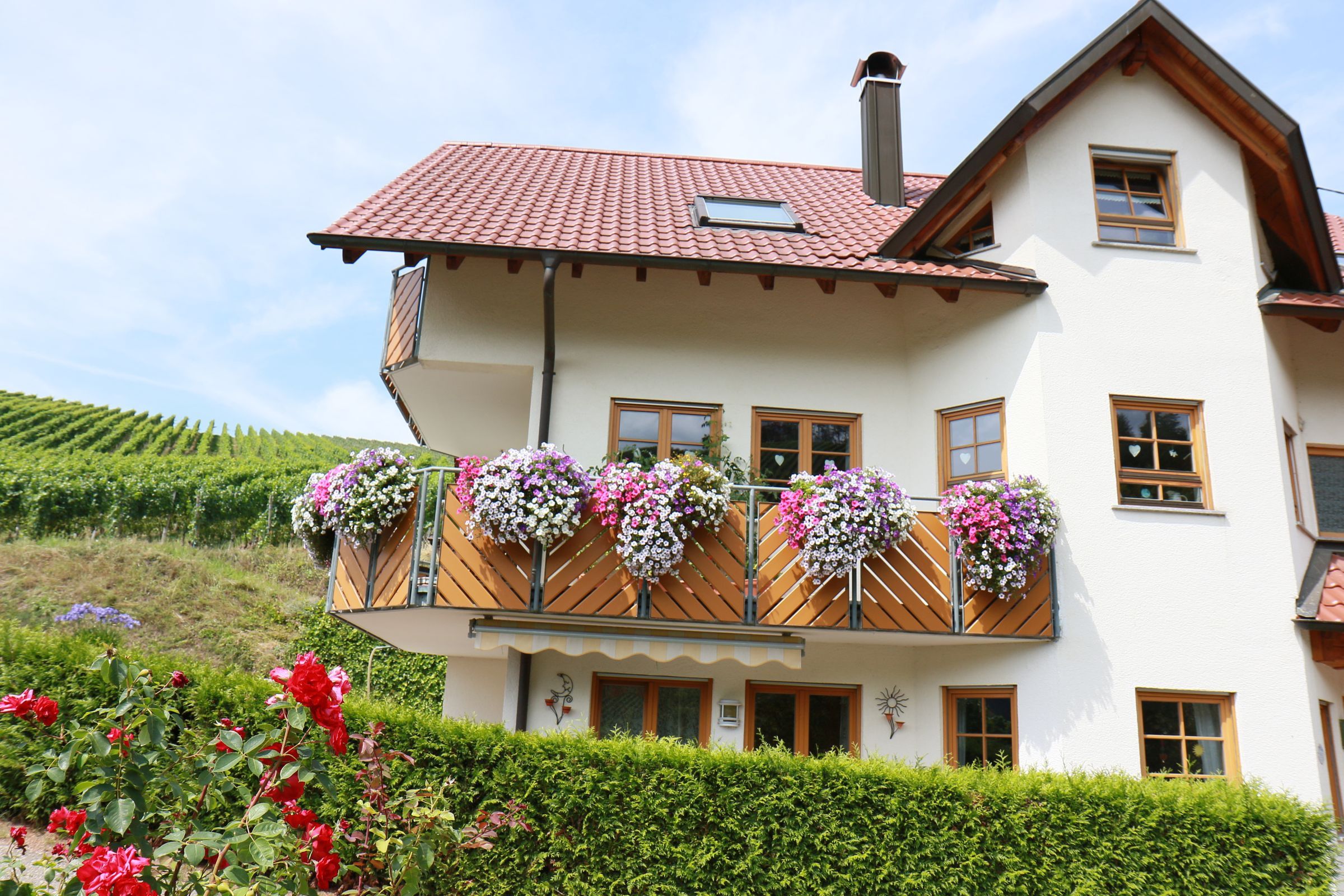 Ferien inmitten sonniger Weinhänge