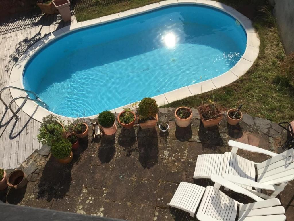 Mosel Ferienwohnung im Weingut Borchert – Springiersbacher Hof