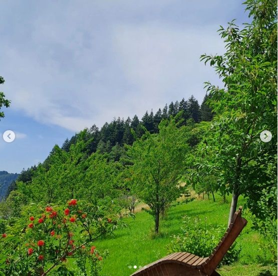 Pension Bäuerle Hof