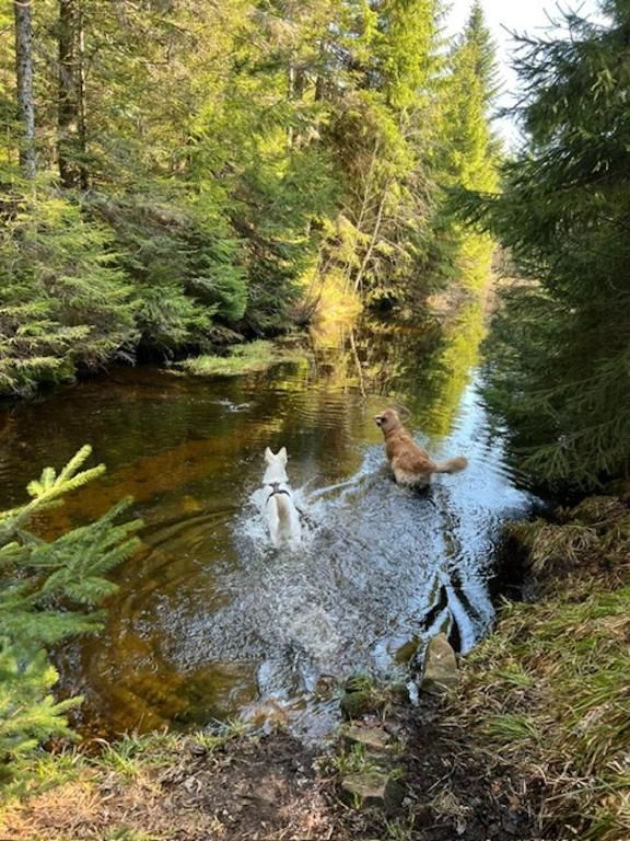 Ferienwohnung Tannenduft